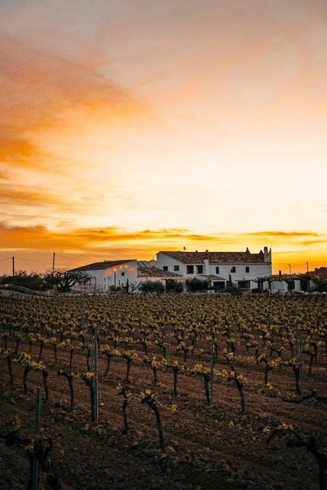 Soul Farm Mas Els Igols Vila Torrellas de Foix Exterior foto