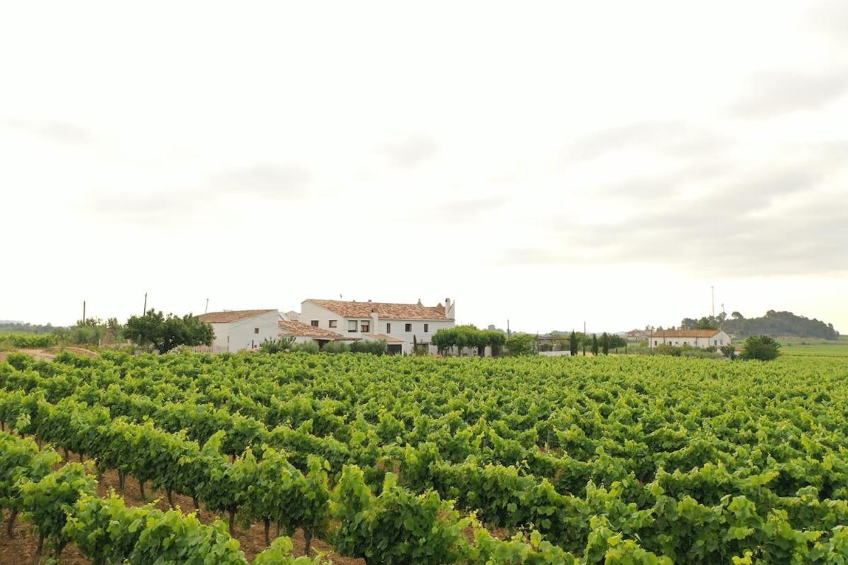 Soul Farm Mas Els Igols Vila Torrellas de Foix Exterior foto